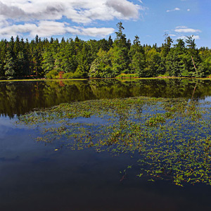 Fotos von Jürgen Schmidt