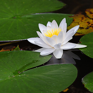 Fotos von Jürgen Schmidt