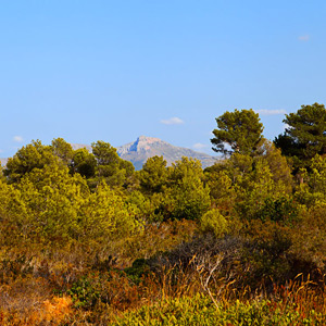 Fotos von Jürgen Schmidt