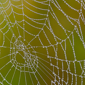 Fotos von Jürgen Schmidt