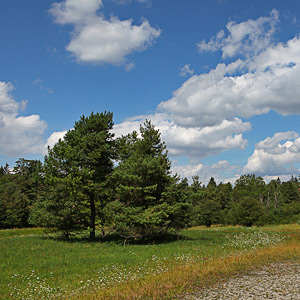 Fotos von Jürgen Schmidt