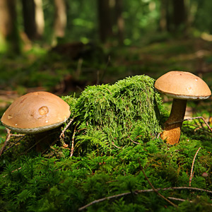 Fotos von Jürgen Schmidt