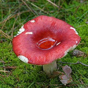 Fotos von Jürgen Schmidt