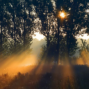 Fotos von Jürgen Schmidt