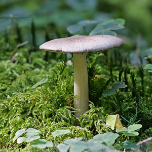 Fotos von Jürgen Schmidt