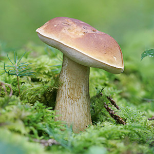 Fotos von Jürgen Schmidt