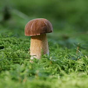 Fotos von Jürgen Schmidt