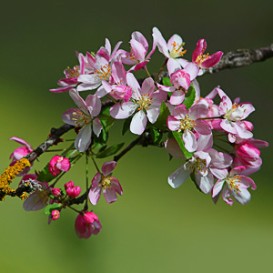 Fotos von Jürgen Schmidt