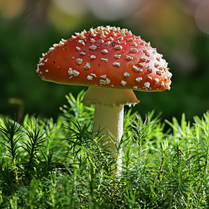 Fotos von Jürgen Schmidt