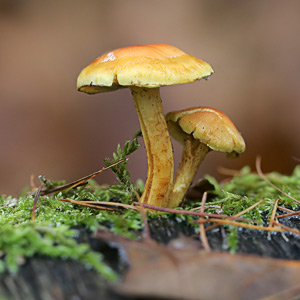 Fotos von Jürgen Schmidt