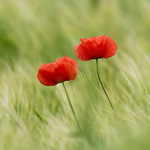 Fotos von Jürgen Schmidt