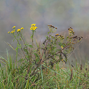 Fotos von Jürgen Schmidt