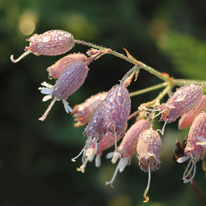 Fotos von Jürgen Schmidt