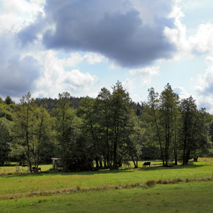 Fotos von Jürgen Schmidt