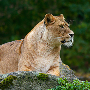 Fotos von Jürgen Schmidt