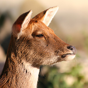 Fotos von Jürgen Schmidt