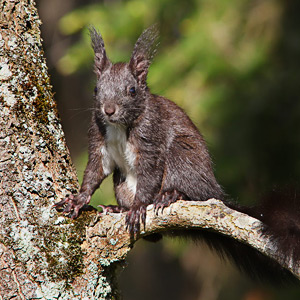 Fotos von Jürgen Schmidt