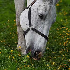 Fotos von Jürgen Schmidt