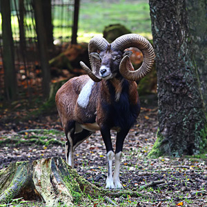 Fotos von Jürgen Schmidt