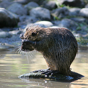 Fotos von Jürgen Schmidt