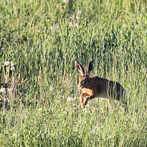 Fotos von Jürgen Schmidt