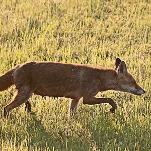 Fotos von Jürgen Schmidt