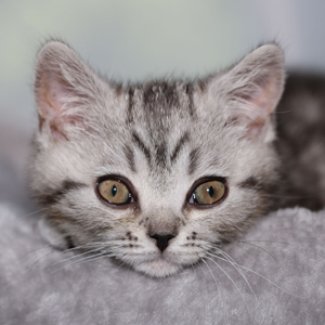 Fotos von Jürgen Schmidt