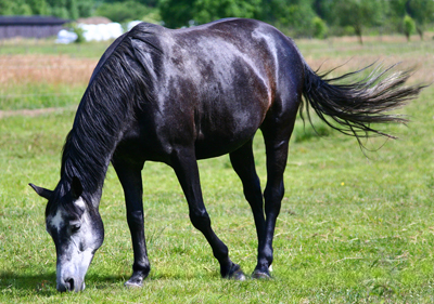 Fotos von Jürgen Schmidt