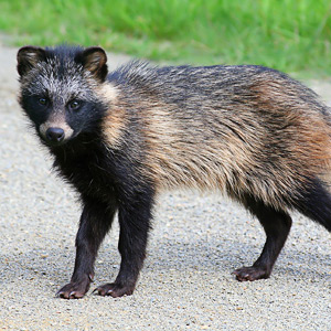 Fotos von Jürgen Schmidt