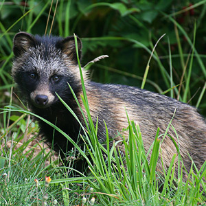 Fotos von Jürgen Schmidt