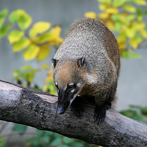 Fotos von Jürgen Schmidt
