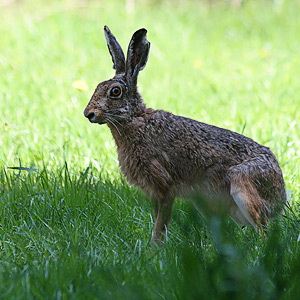 Fotos von Jürgen Schmidt
