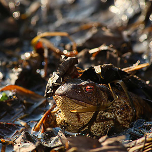 Fotos von Jürgen Schmidt