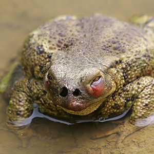 Fotos von Jürgen Schmidt