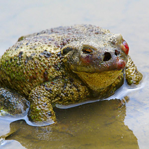 Fotos von Jürgen Schmidt