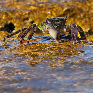 Fotos von Jürgen Schmidt