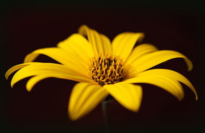 Fotos von Jürgen Schmidt