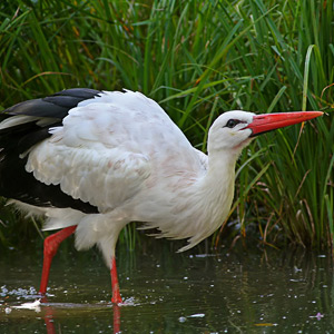 Fotos von Jürgen Schmidt
