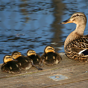 Fotos von Jürgen Schmidt