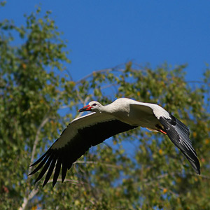 Fotos von Jürgen Schmidt