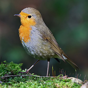 Fotos von Jürgen Schmidt