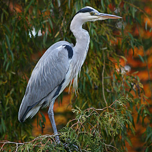 Fotos von Jürgen Schmidt