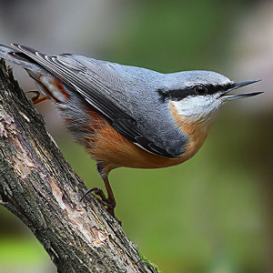 Fotos von Jürgen Schmidt