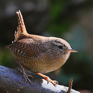 Fotos von Jürgen Schmidt