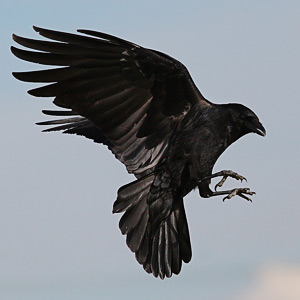 Fotos von Jürgen Schmidt