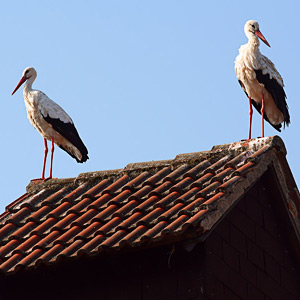 Fotos von Jürgen Schmidt