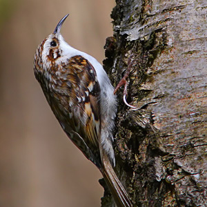 Fotos von Jürgen Schmidt