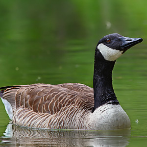 Fotos von Jürgen Schmidt
