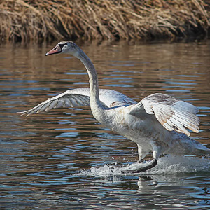 Fotos von Jürgen Schmidt