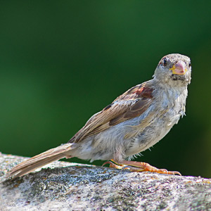 Fotos von Jürgen Schmidt